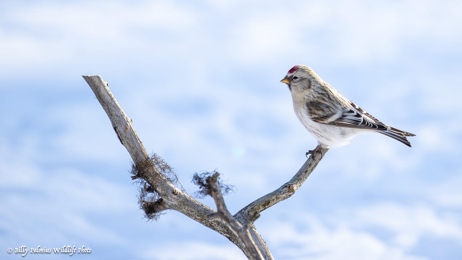 Norway Varanger