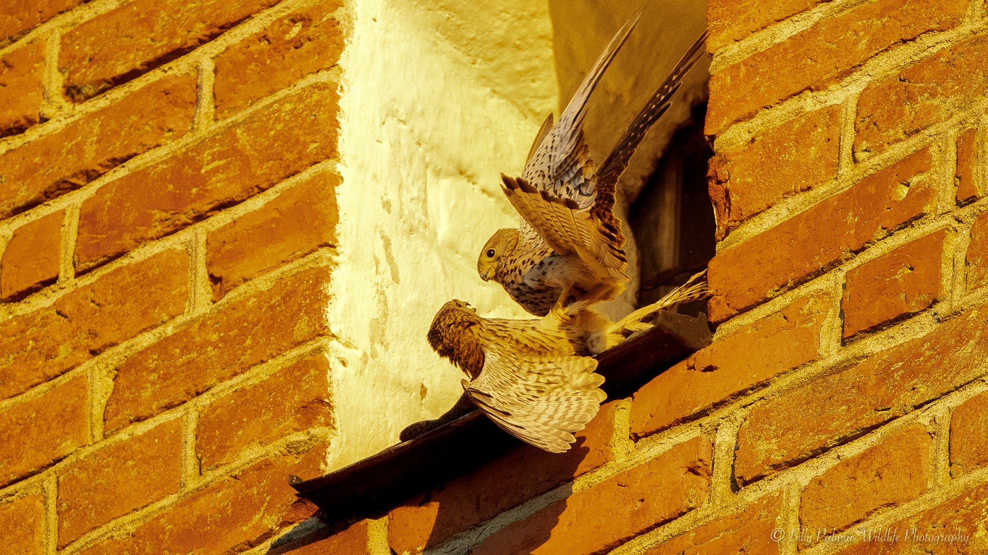 Pictures shoot at a church tower in Sweden