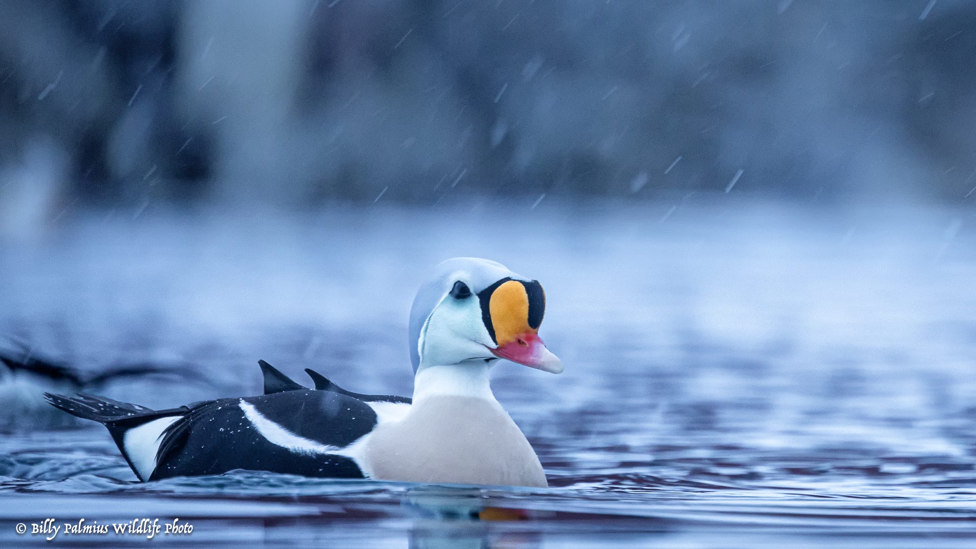 Norway Varanger