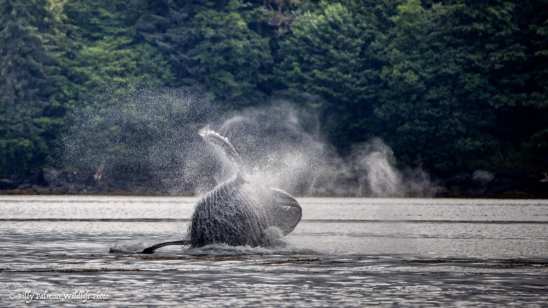 The Inside Passage North America
