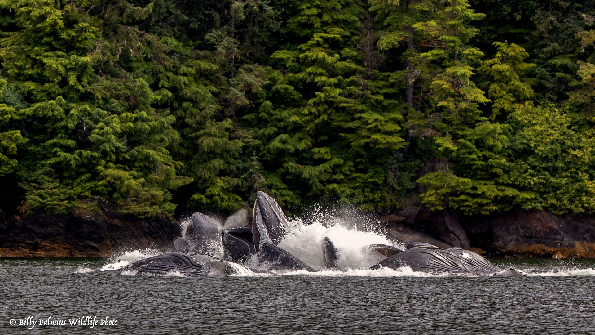 The Inside Passage North America