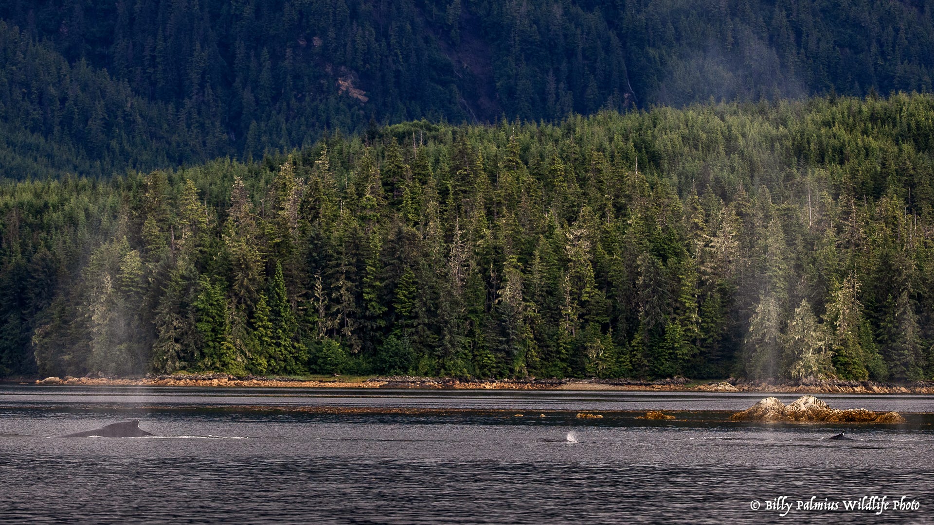 The Inside Passage North America