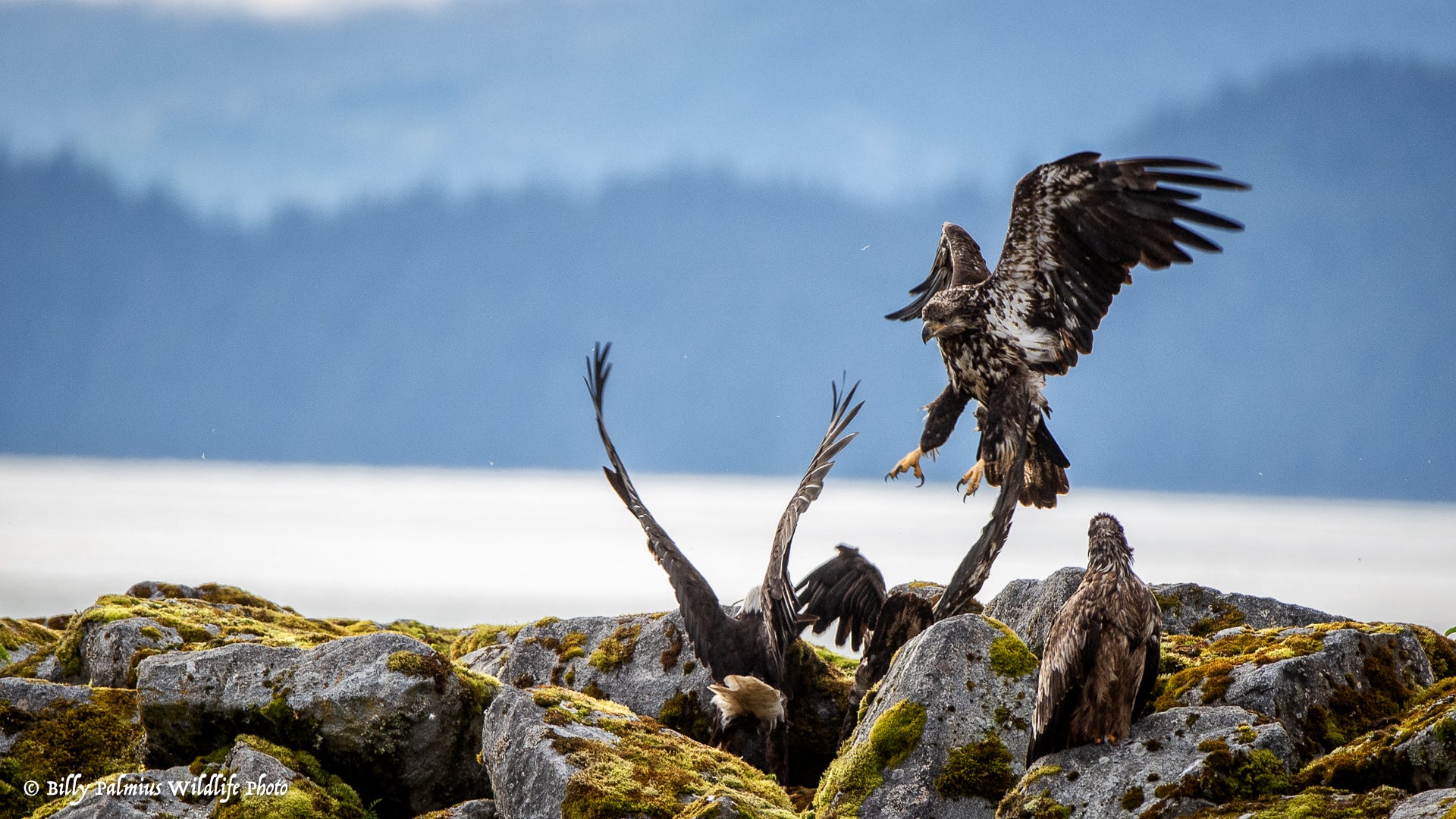 The Inside Passage North America