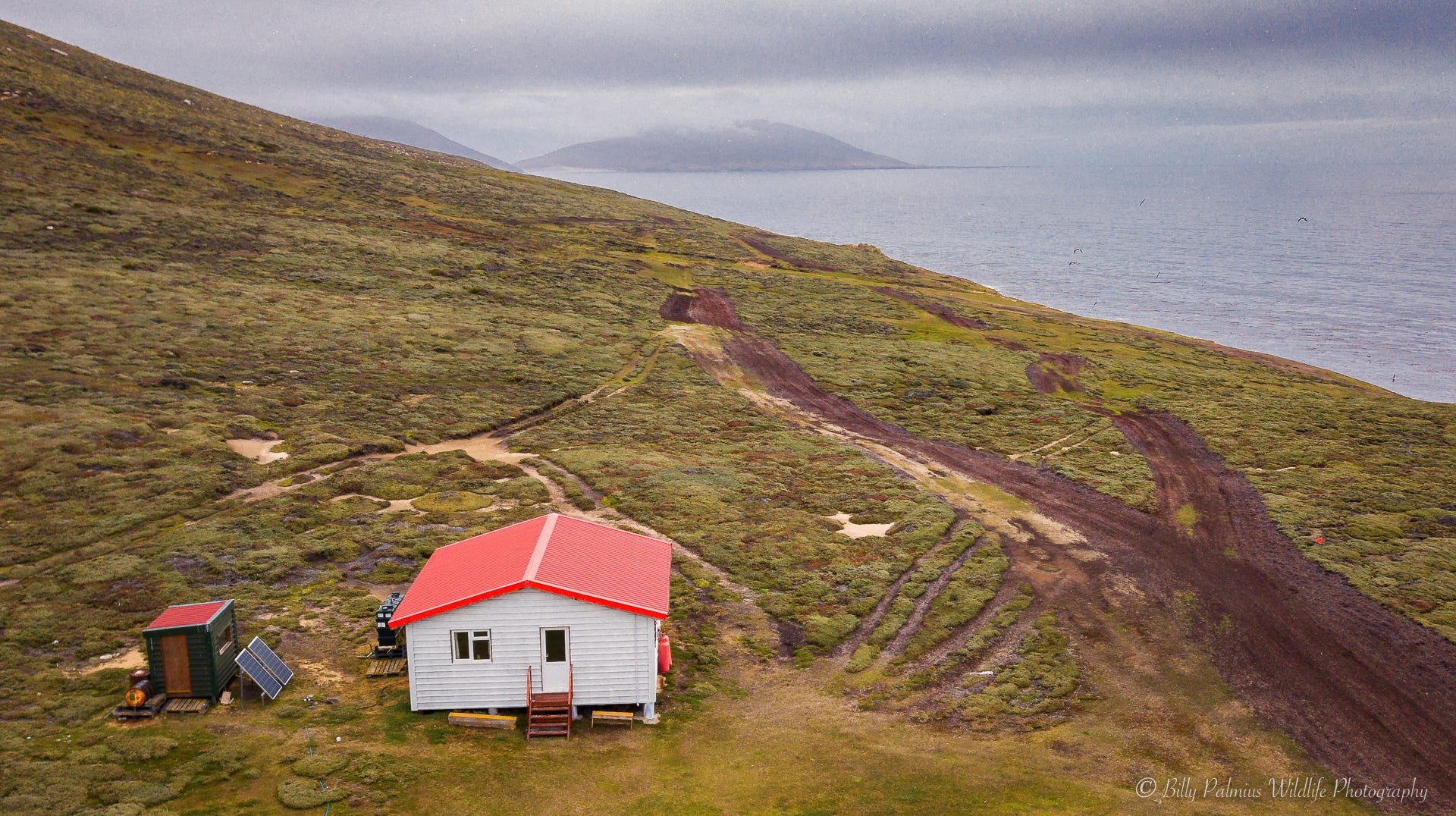 Falkland island