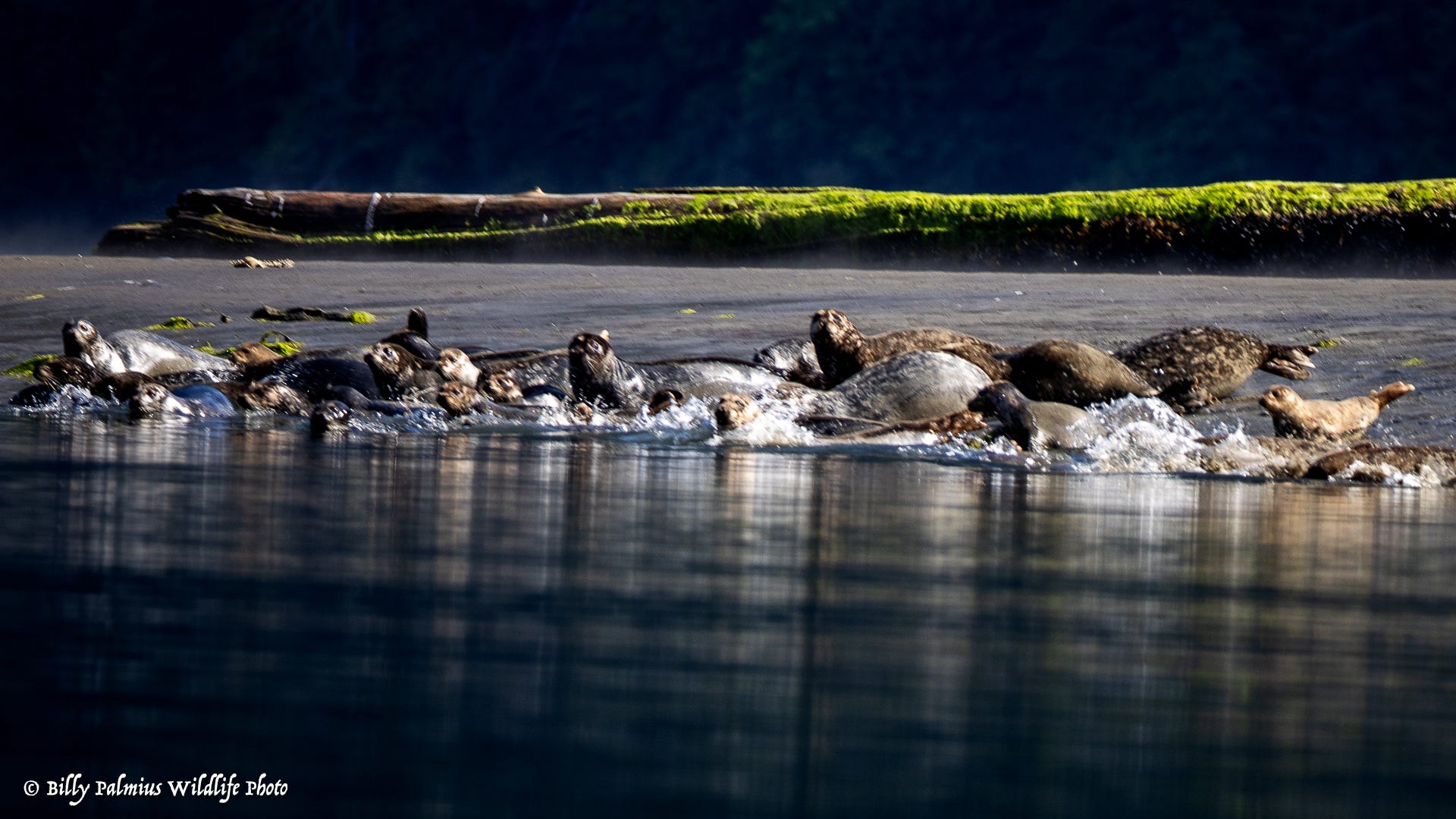 The Inside Passage North America