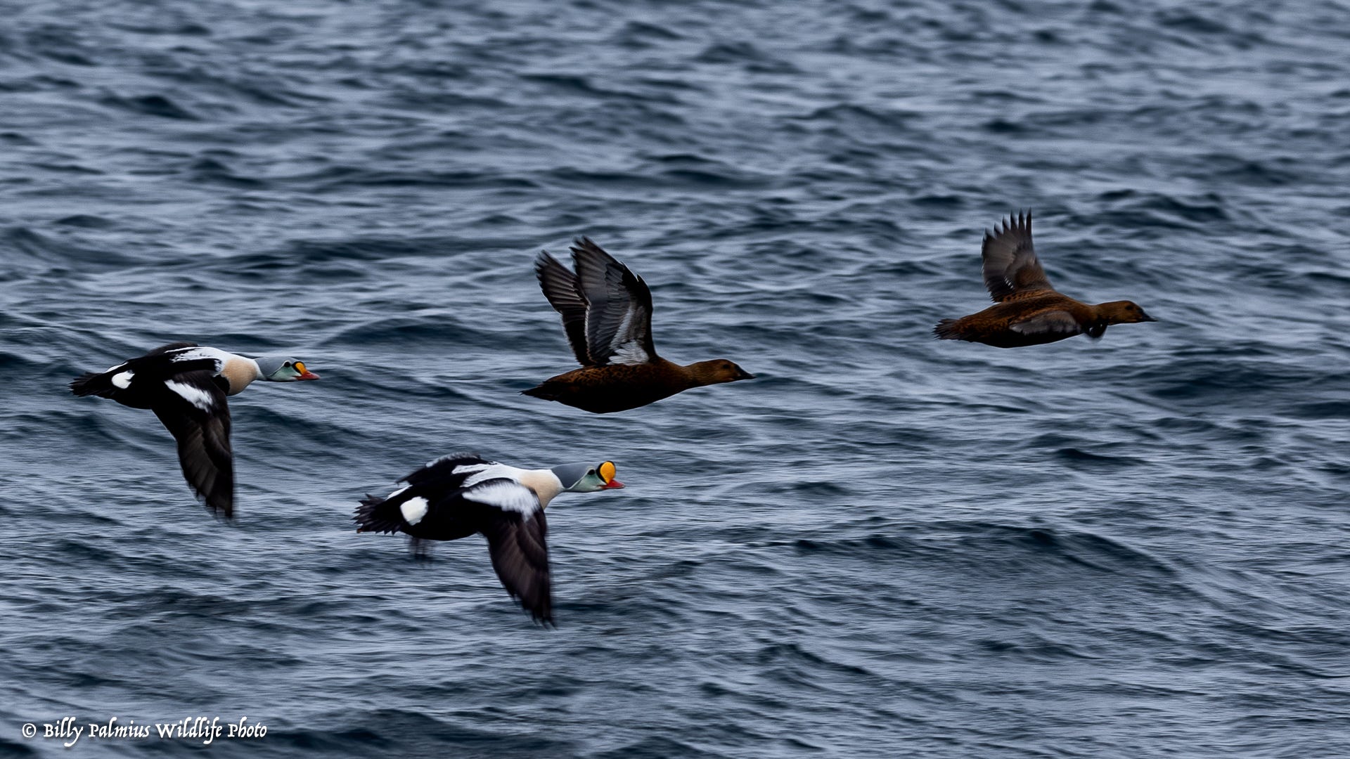 Norway Varanger