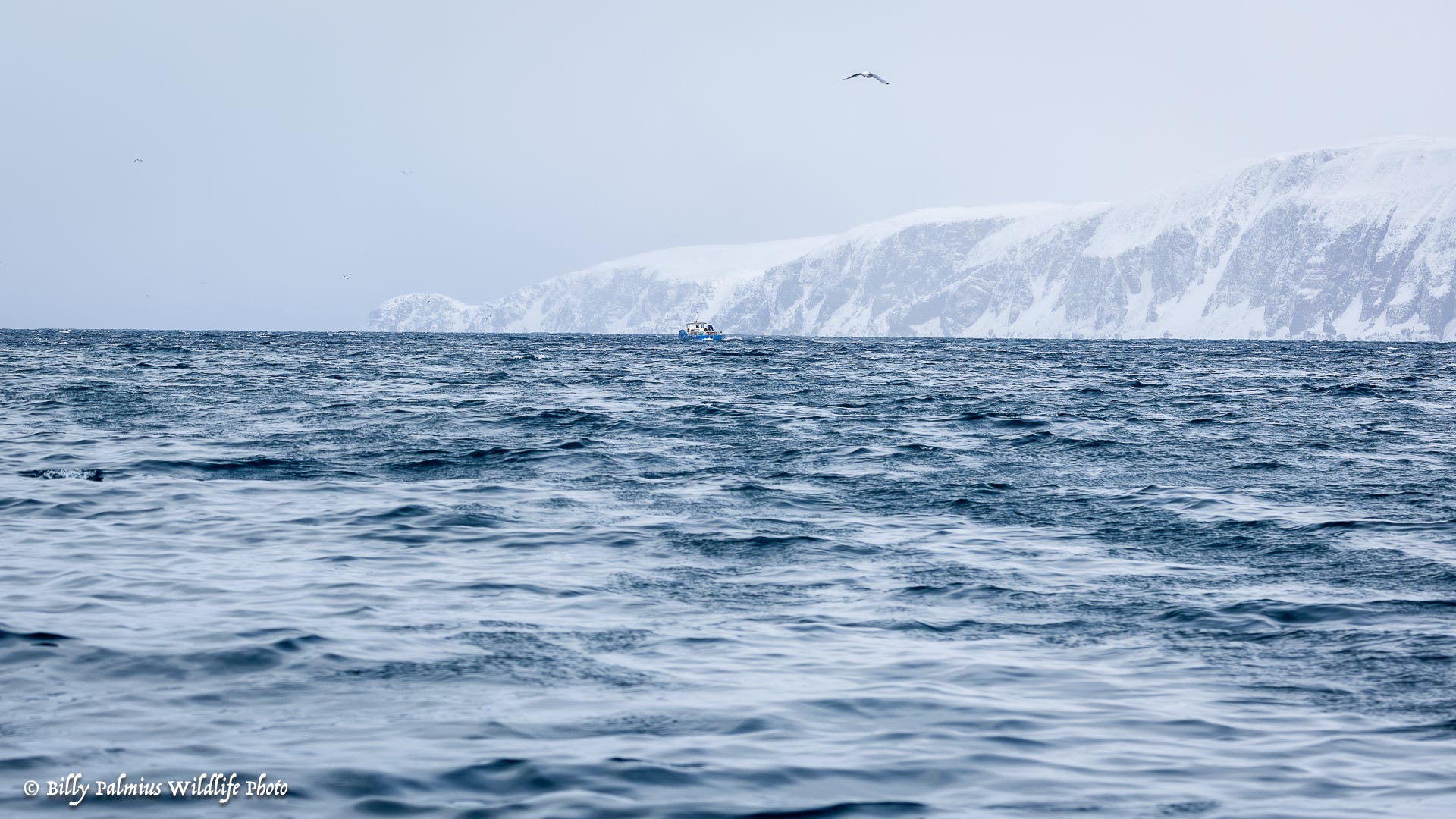 Norway Varanger