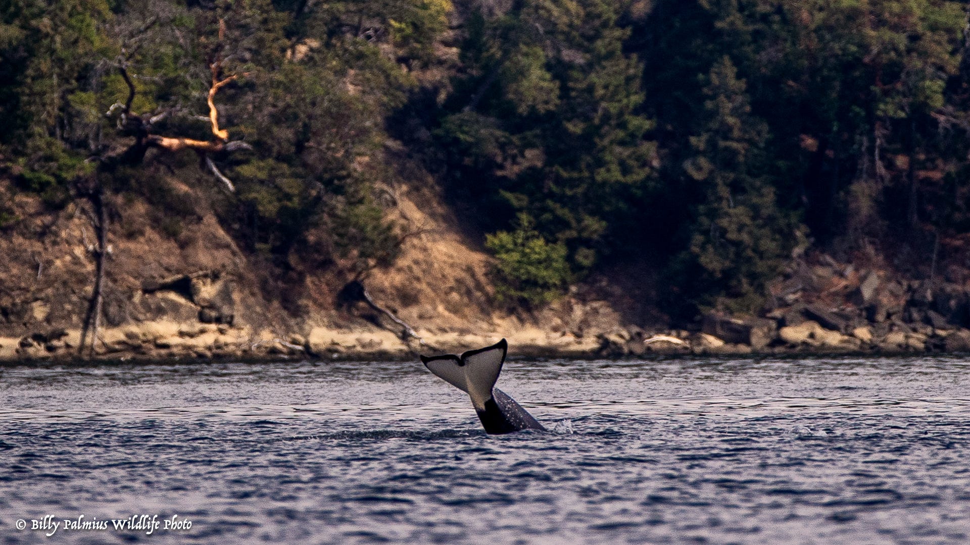 The Inside Passage North America