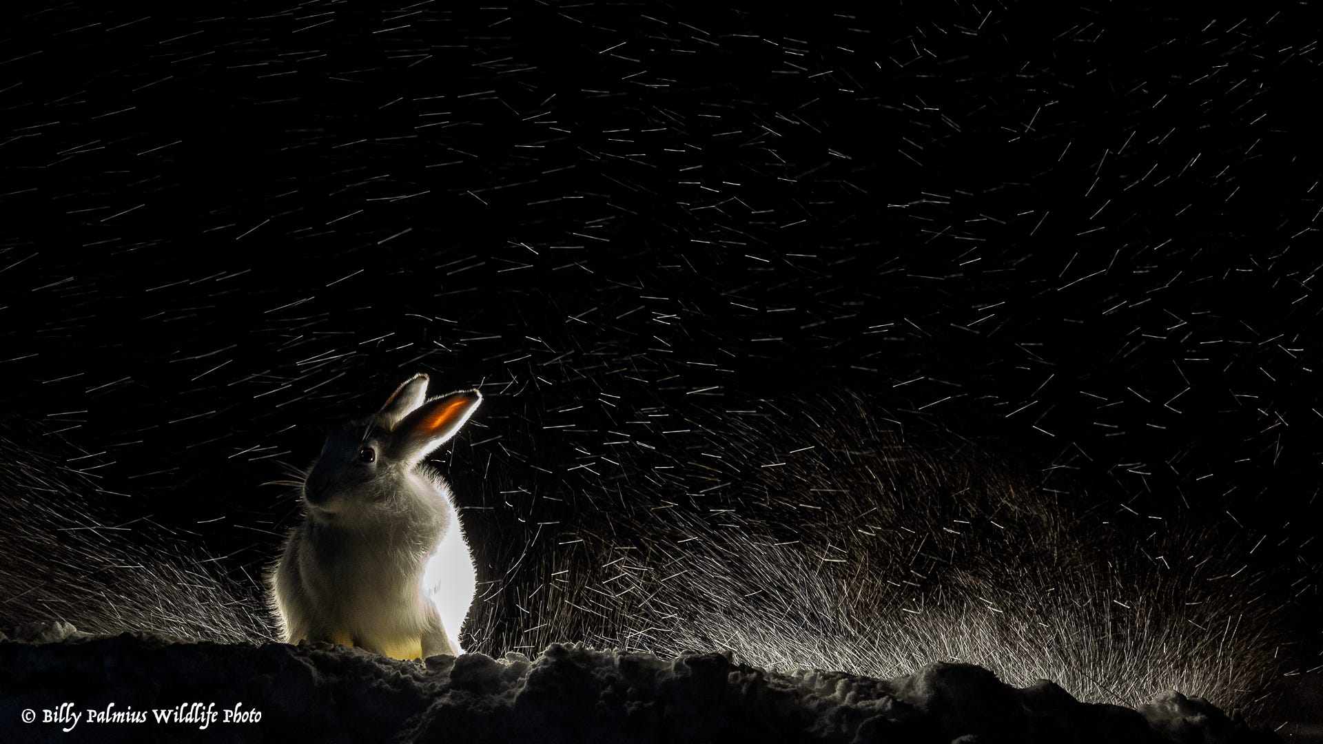 Norway Varanger