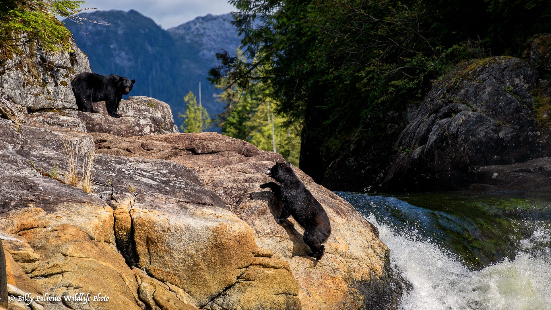 The Inside Passage North America