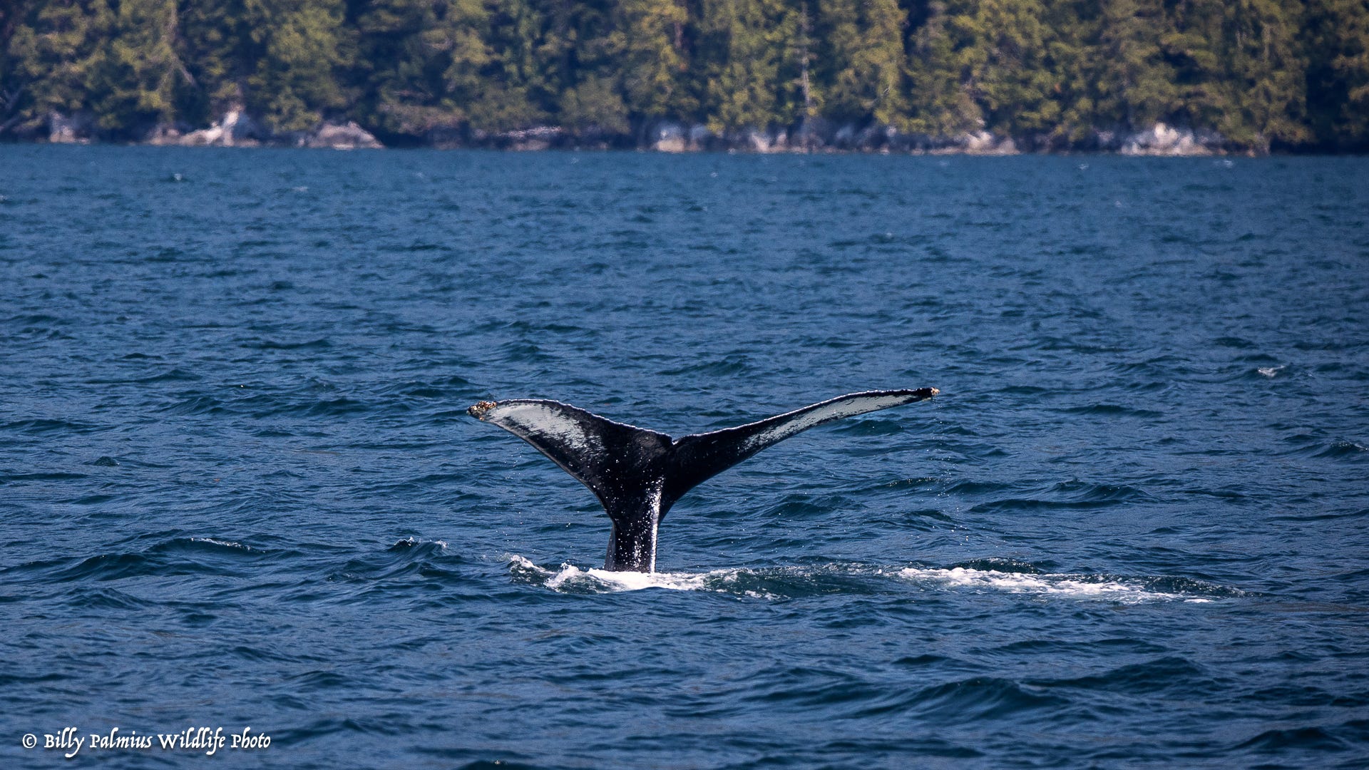 The Inside Passage North America