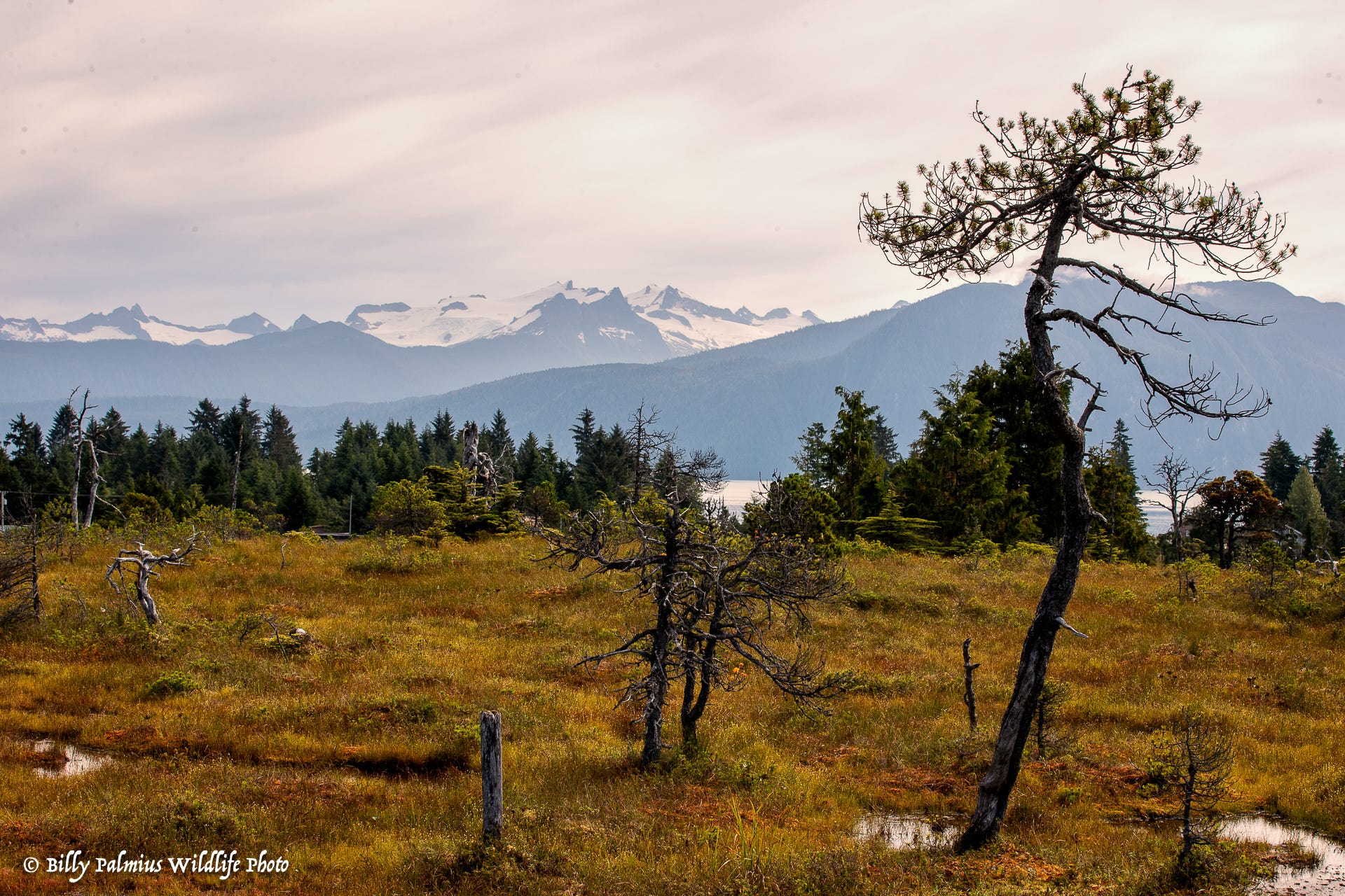 The Inside Passage North America