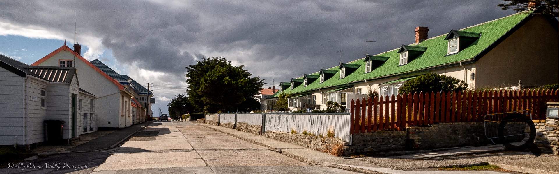Falkland Island