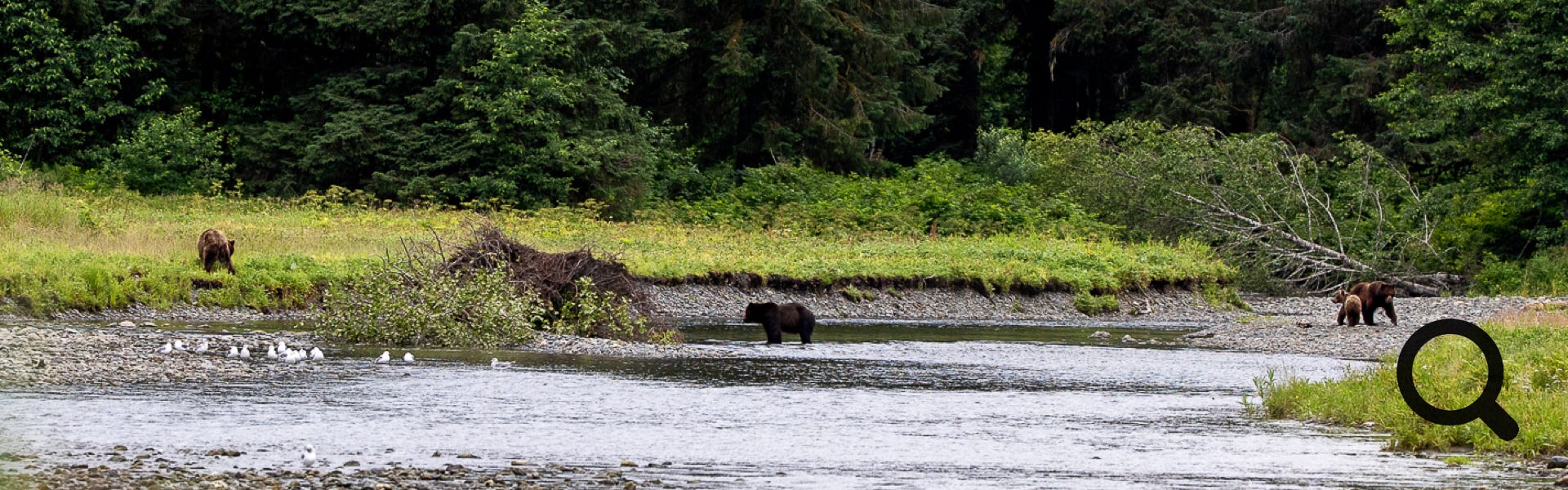 The Inside Passage North America