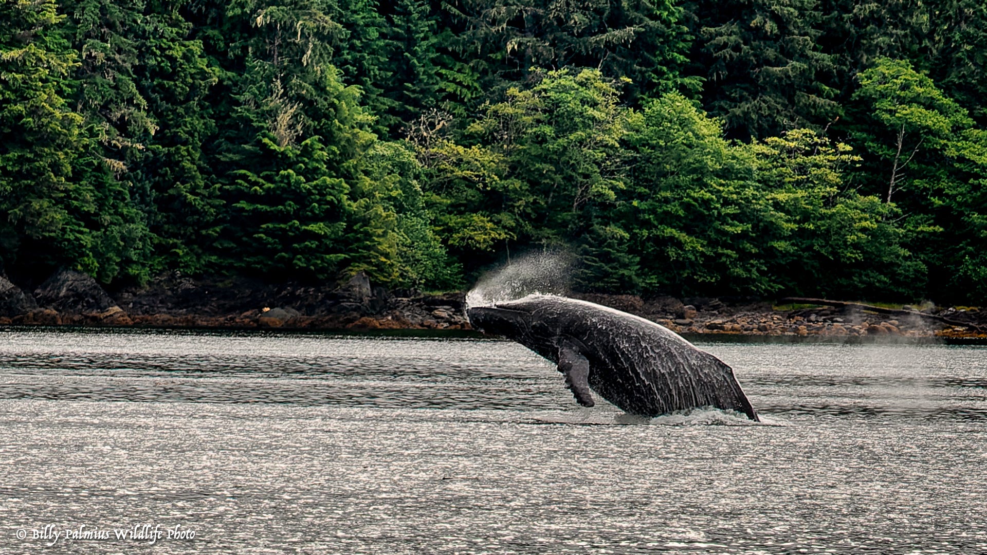 The Inside Passage North America