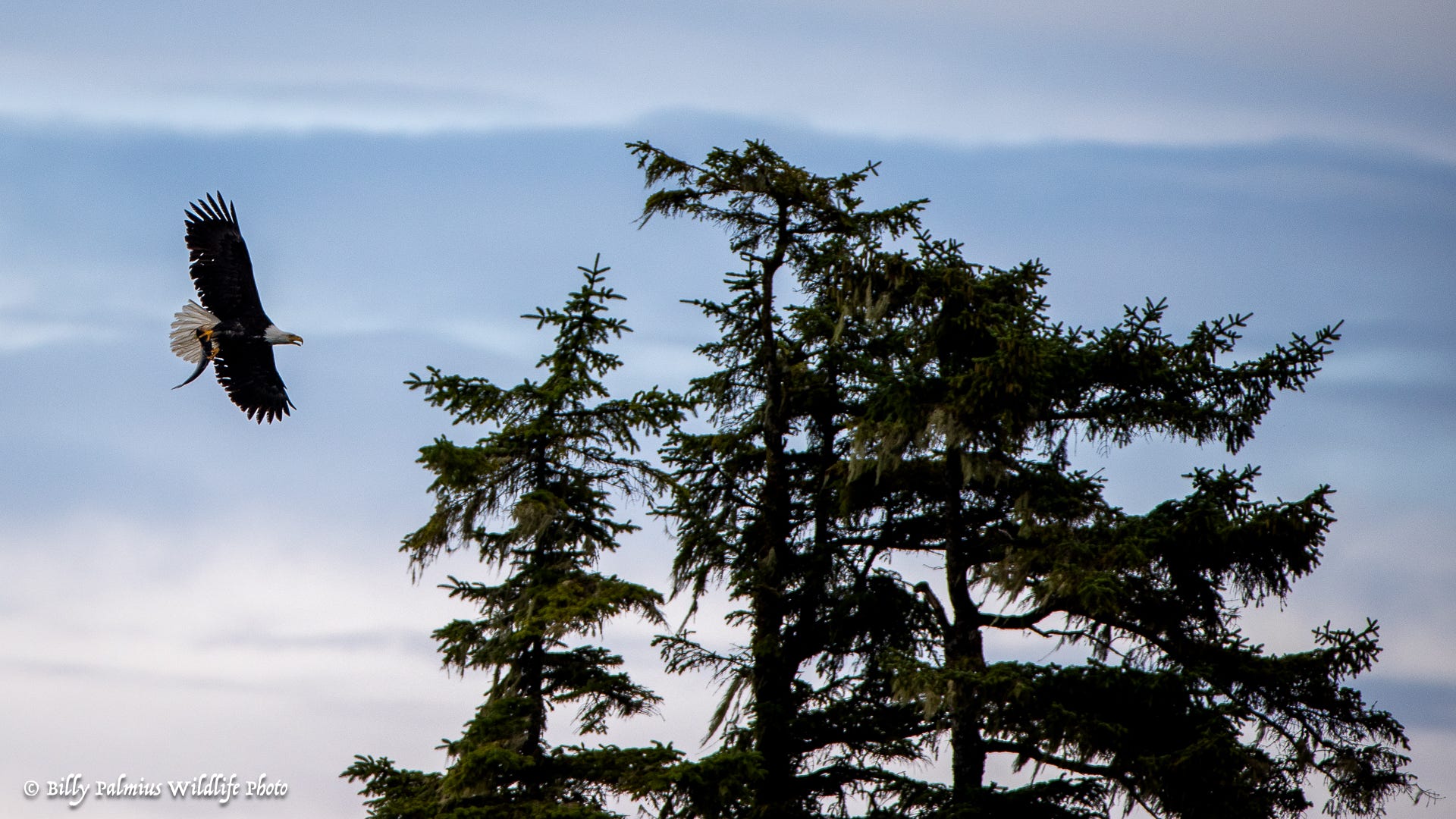 The Inside Passage North America