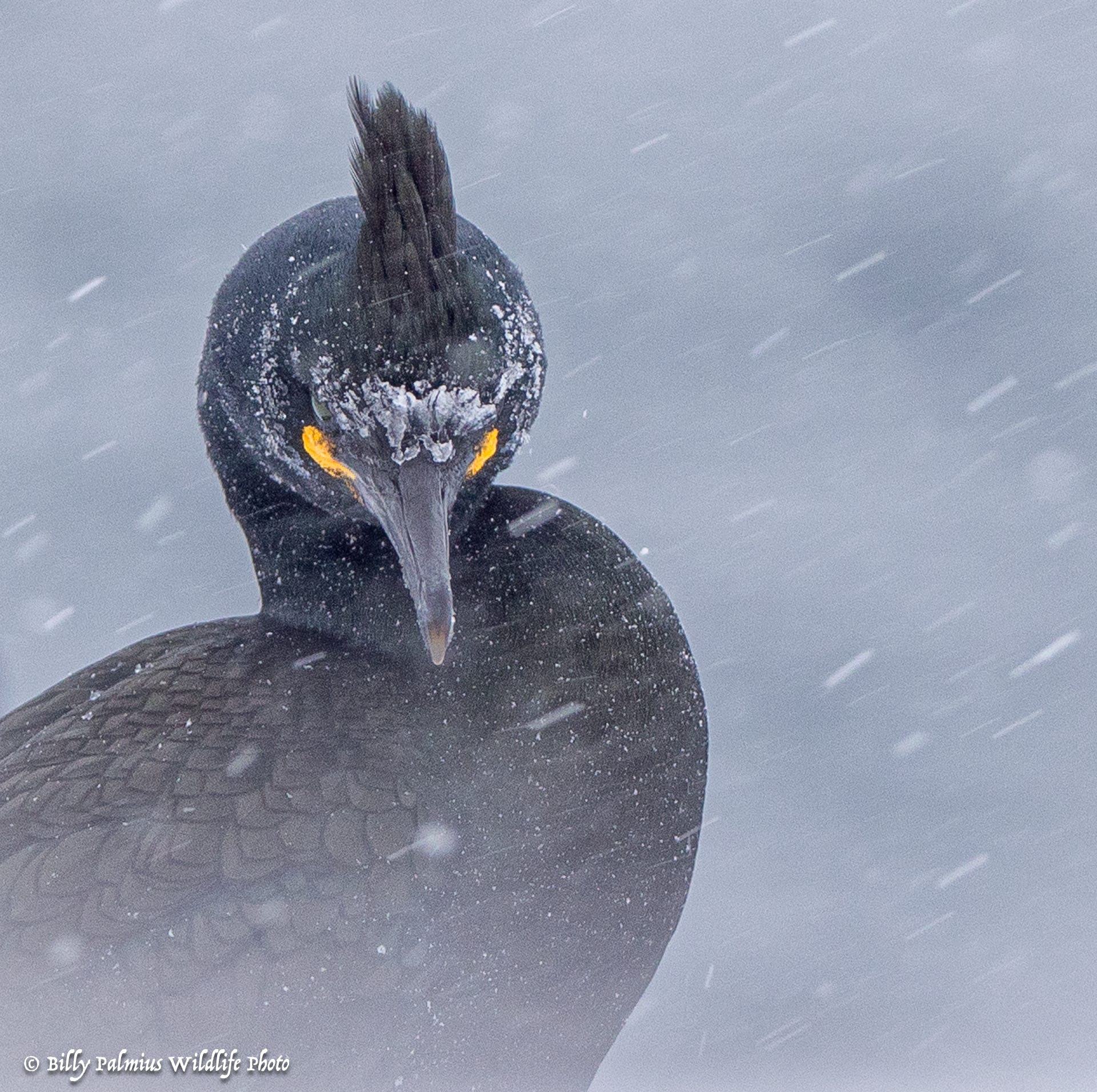 Norway Varanger