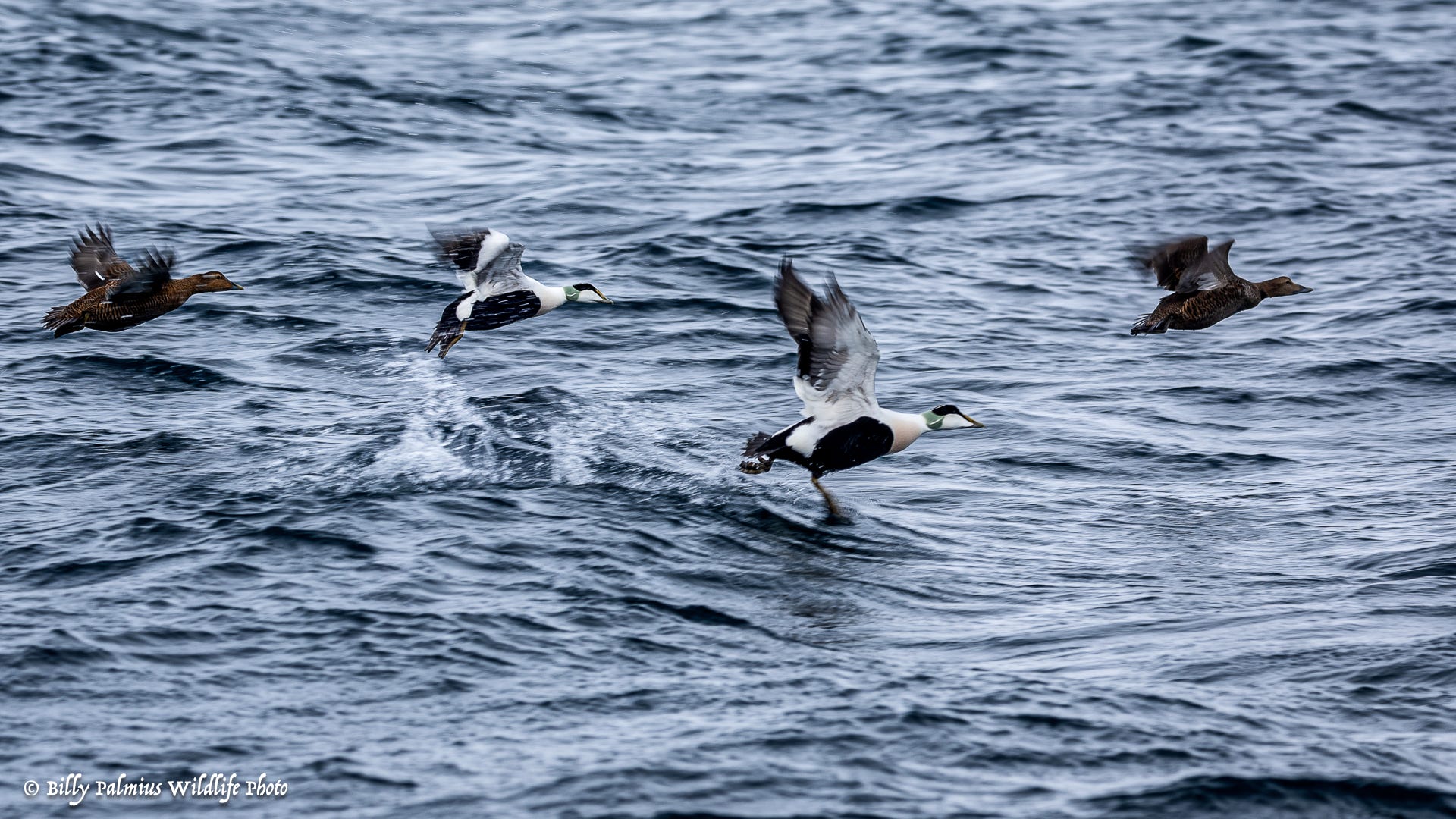 Norway Varanger