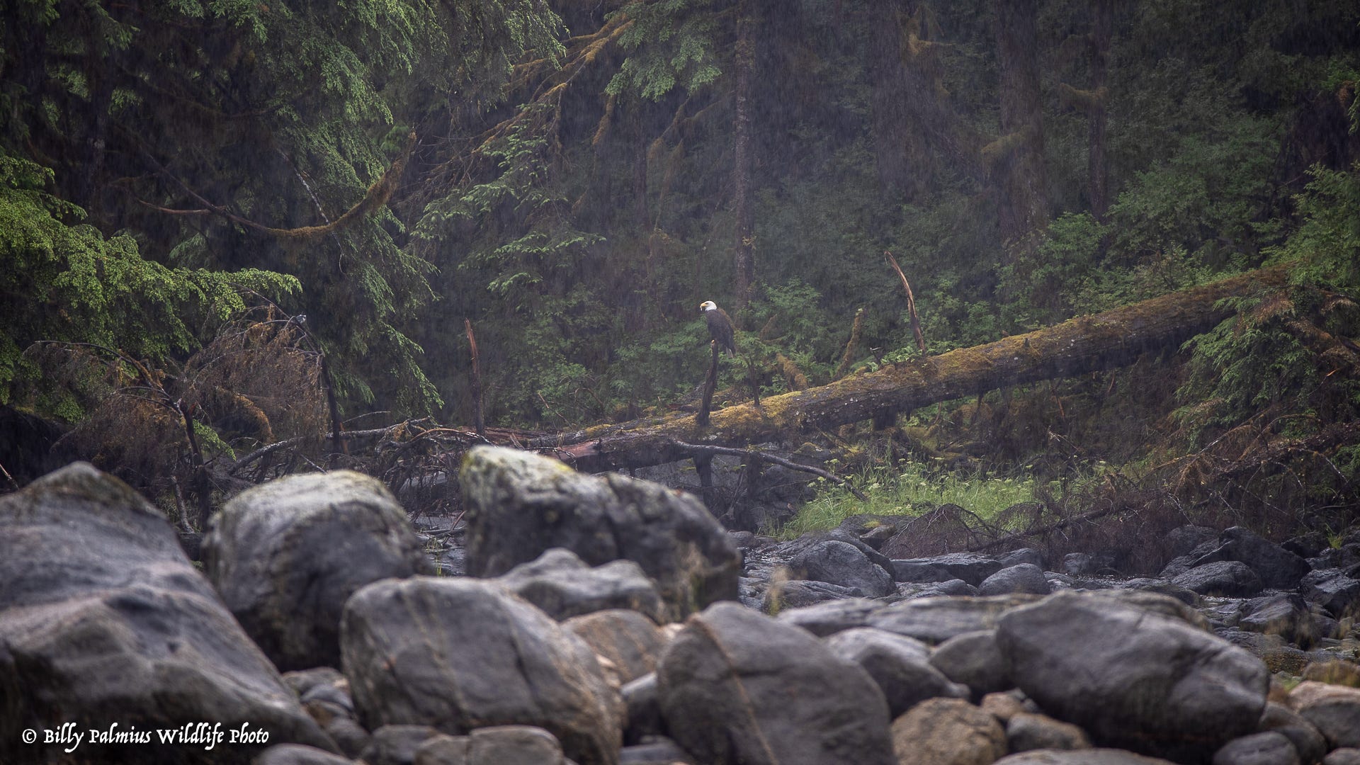 The Inside Passage North America