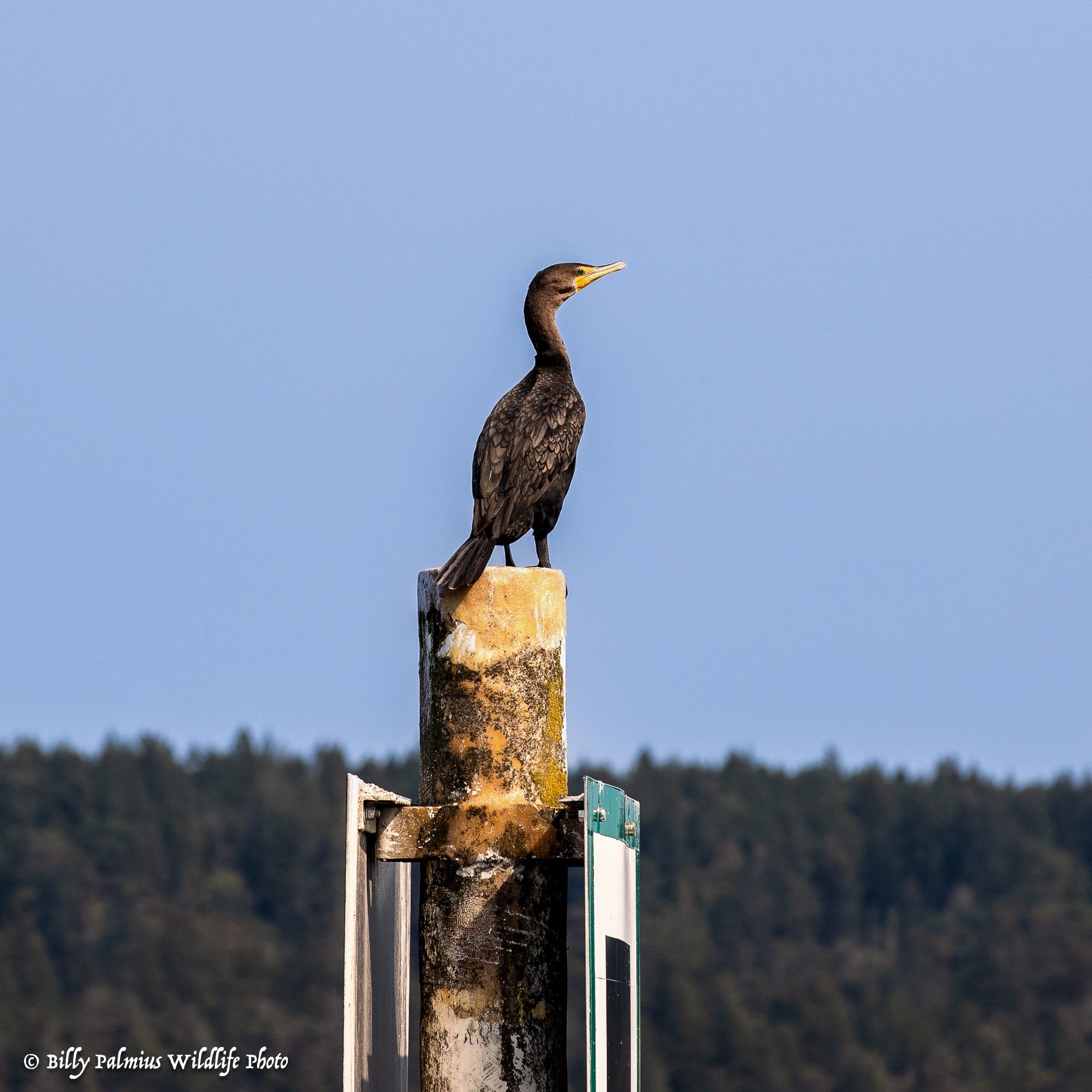 The Inside Passage North America