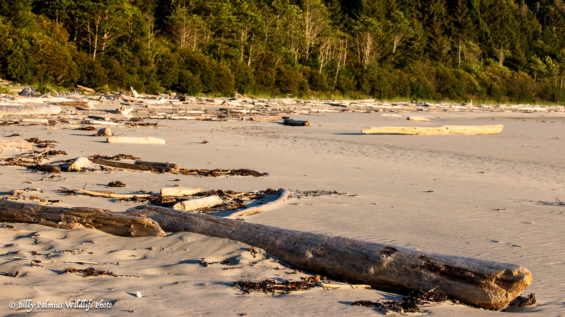 The Inside Passage North America