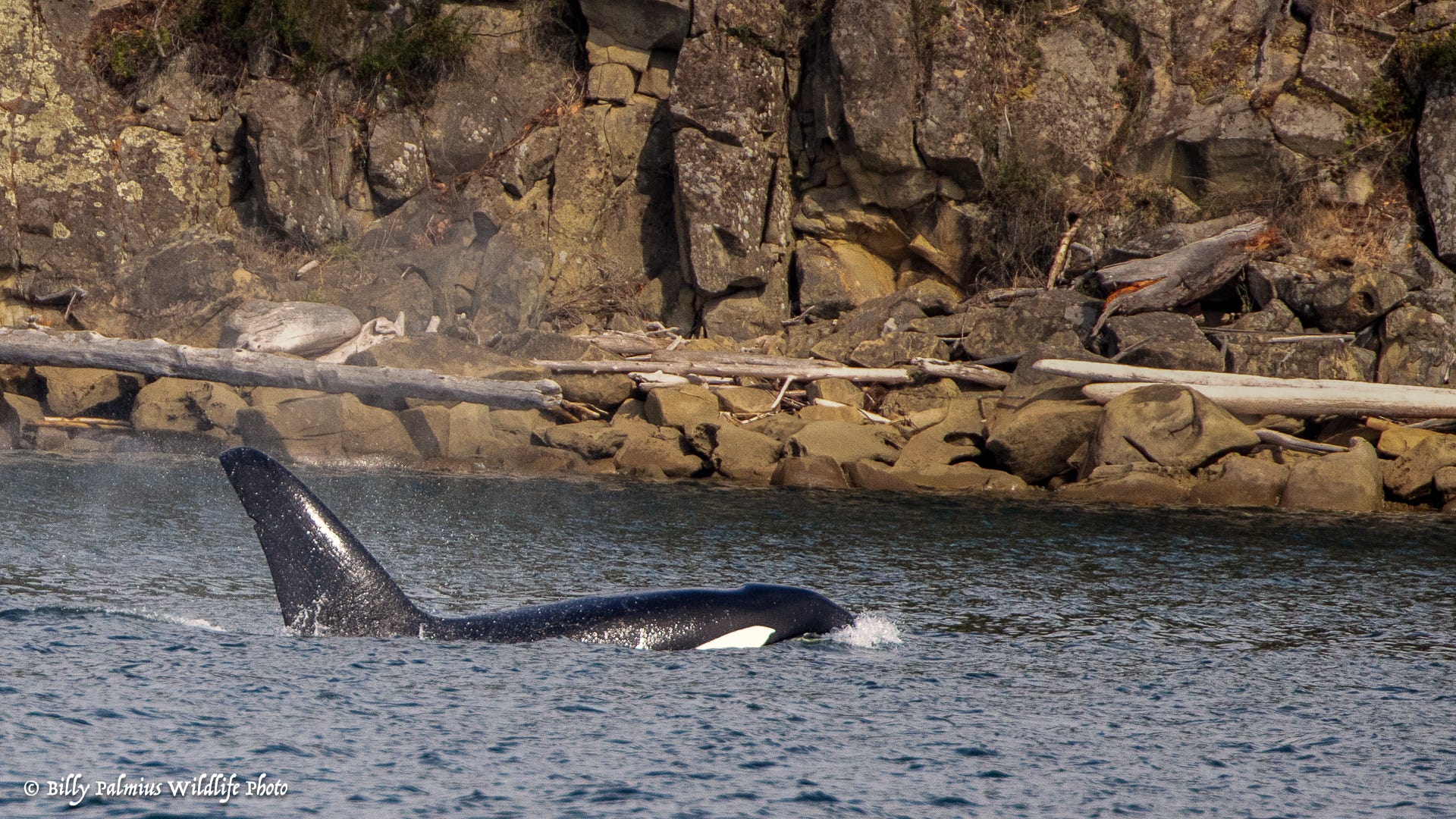 The Inside Passage North America