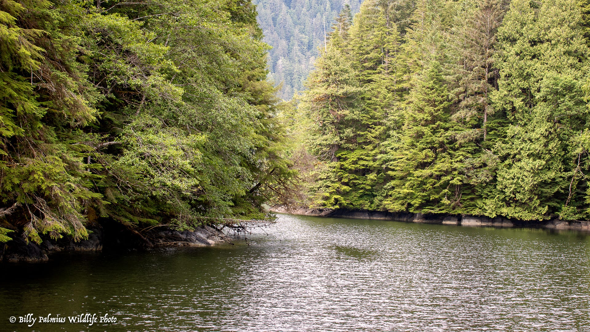 The Inside Passage North America