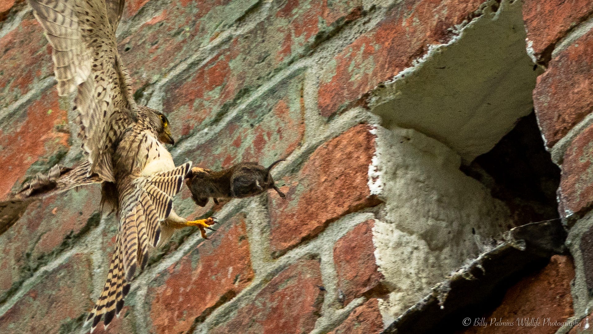 Pictures shoot at a church tower in Sweden