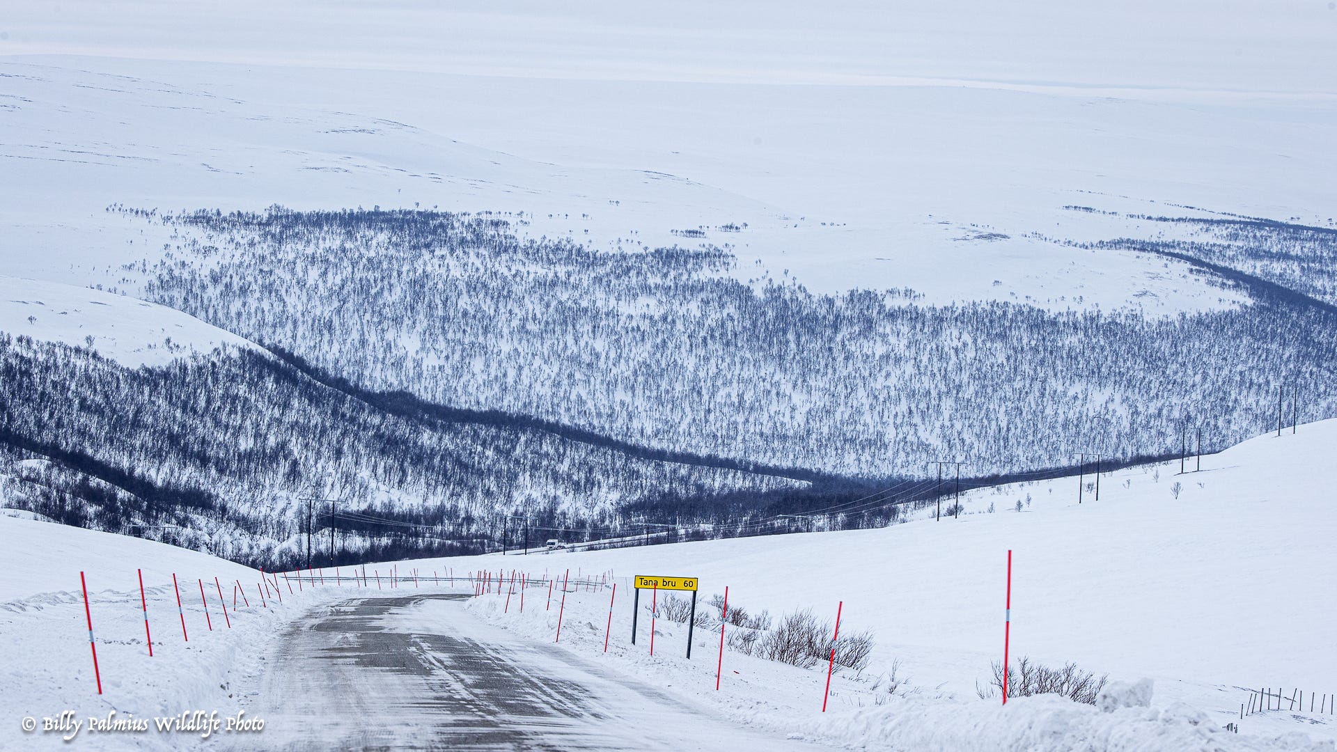 Norway Varanger