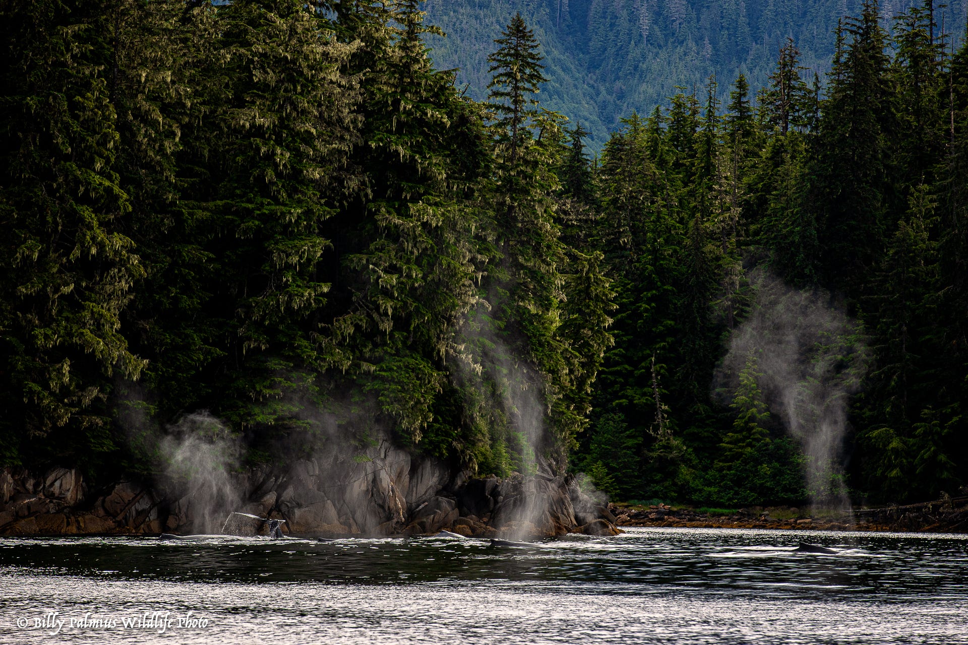 The Inside Passage North America
