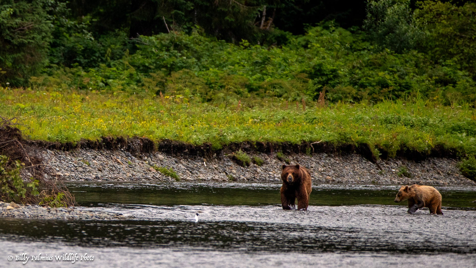 The Inside Passage North America