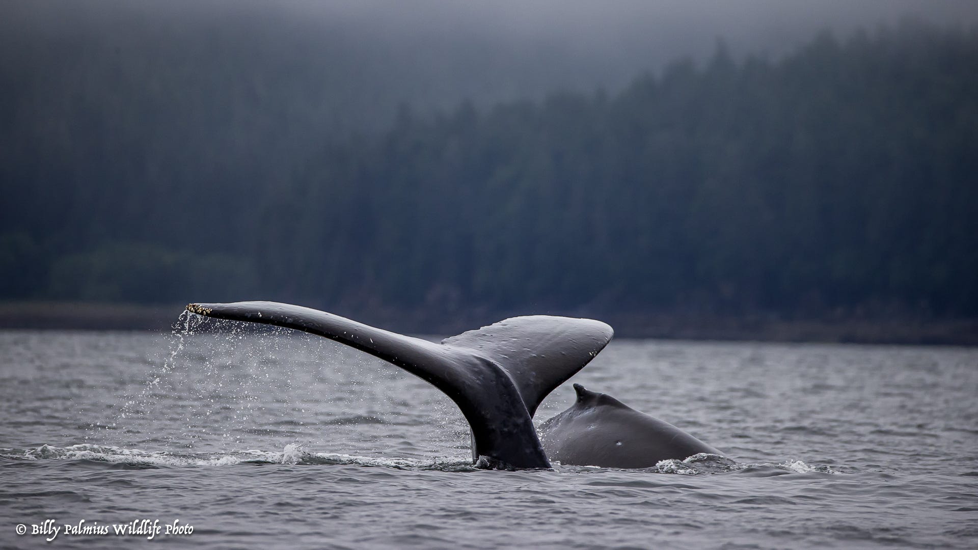 The Inside Passage North America