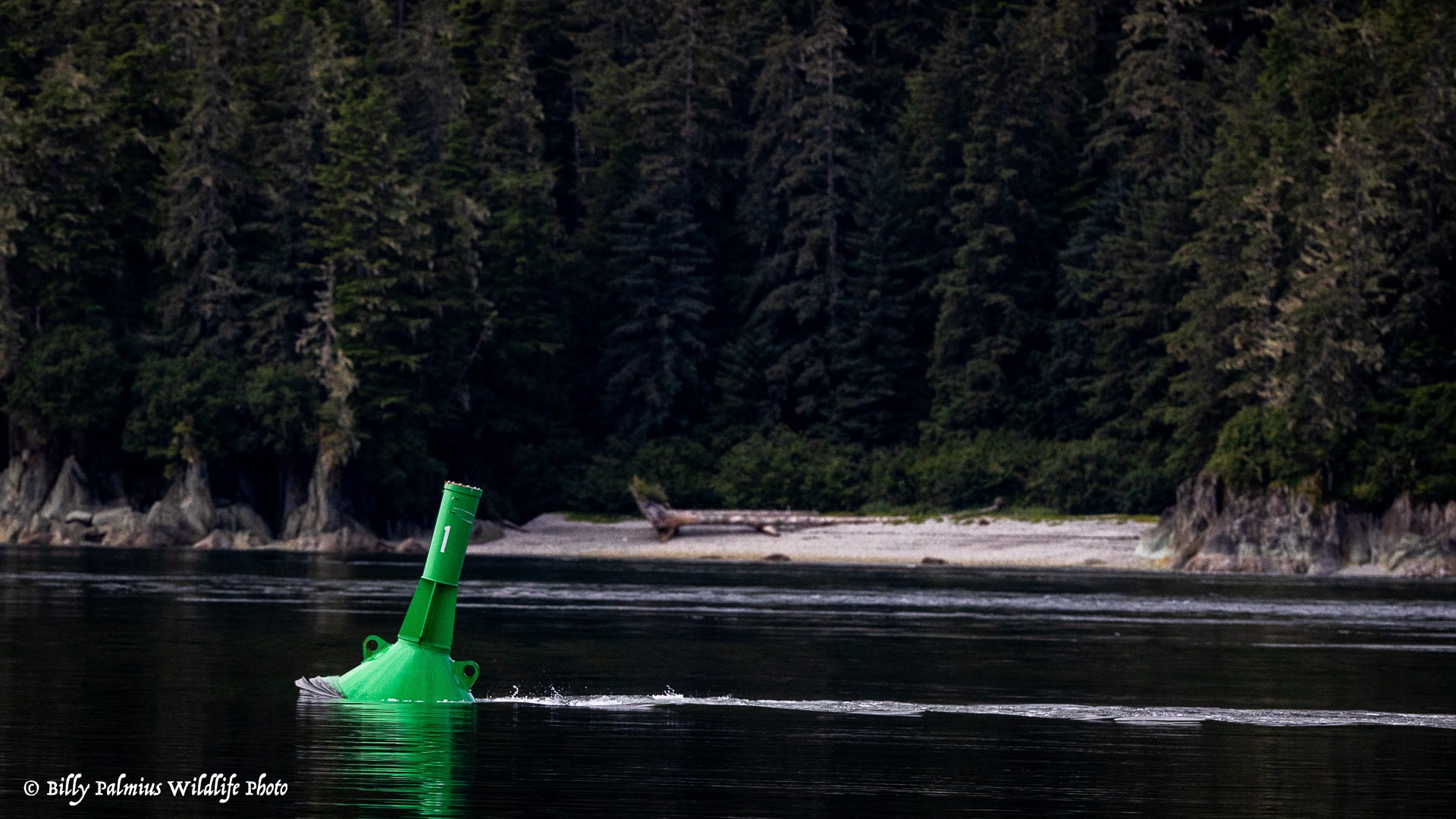 The Inside Passage North America
