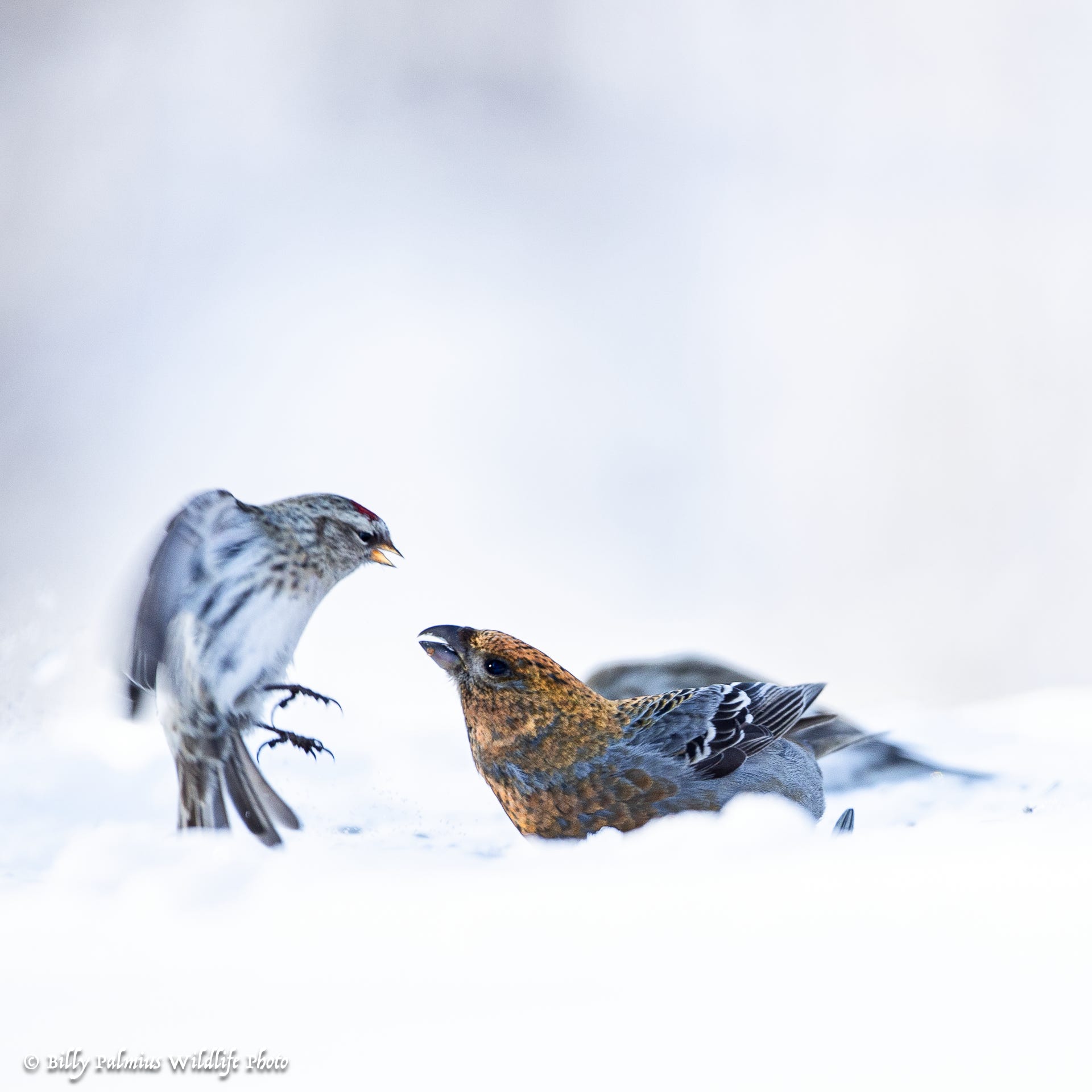 Norway Varanger