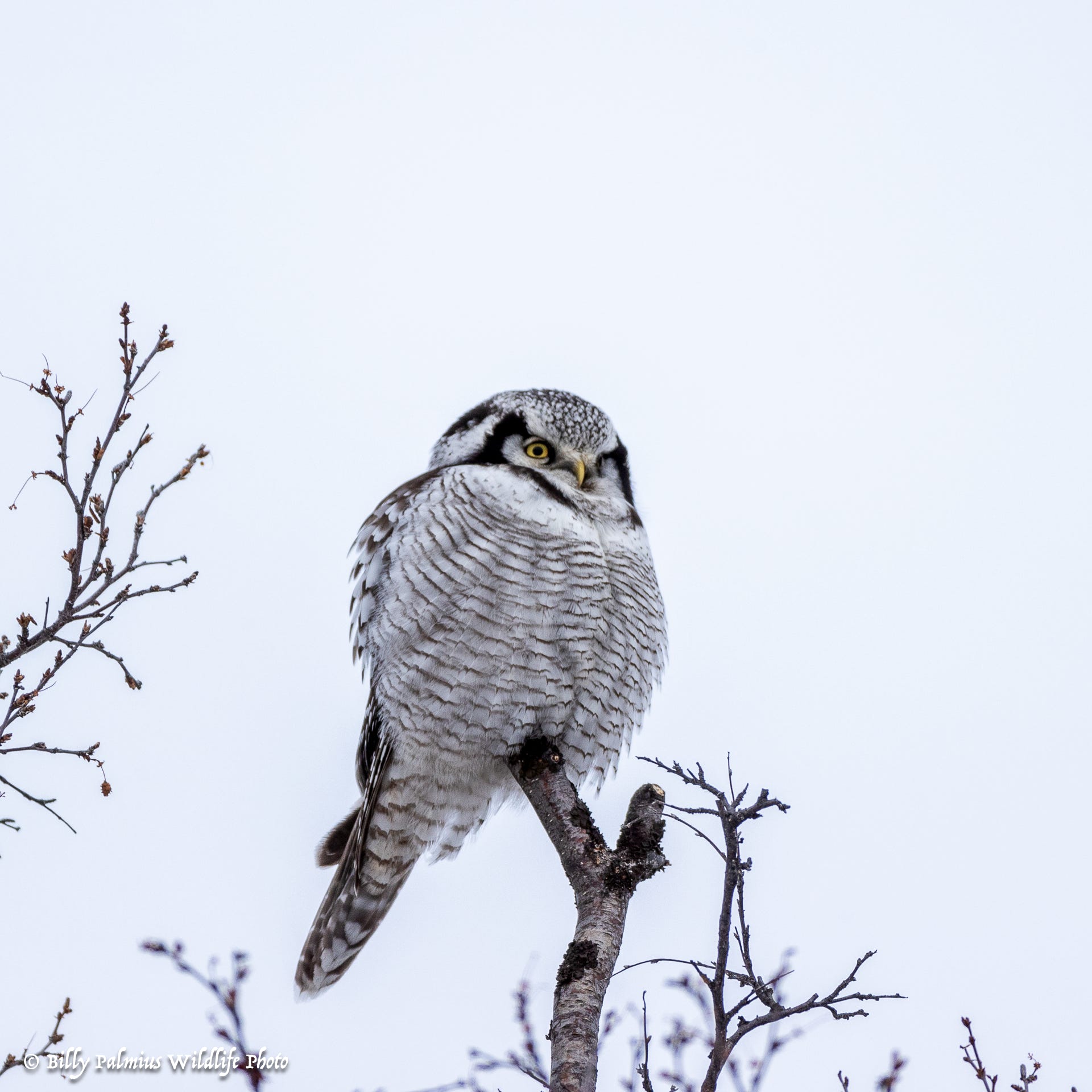 Norway Varanger