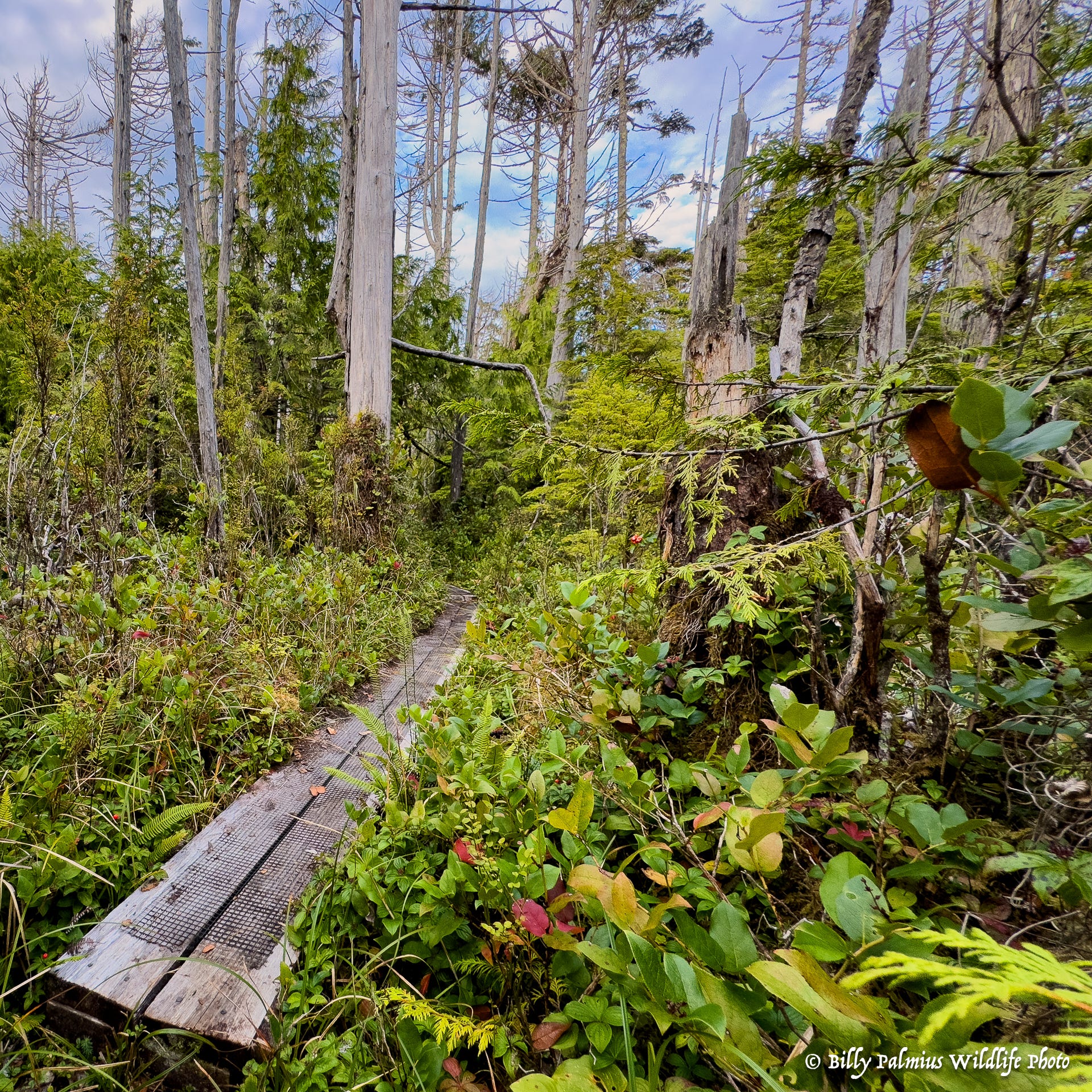 The Inside Passage North America