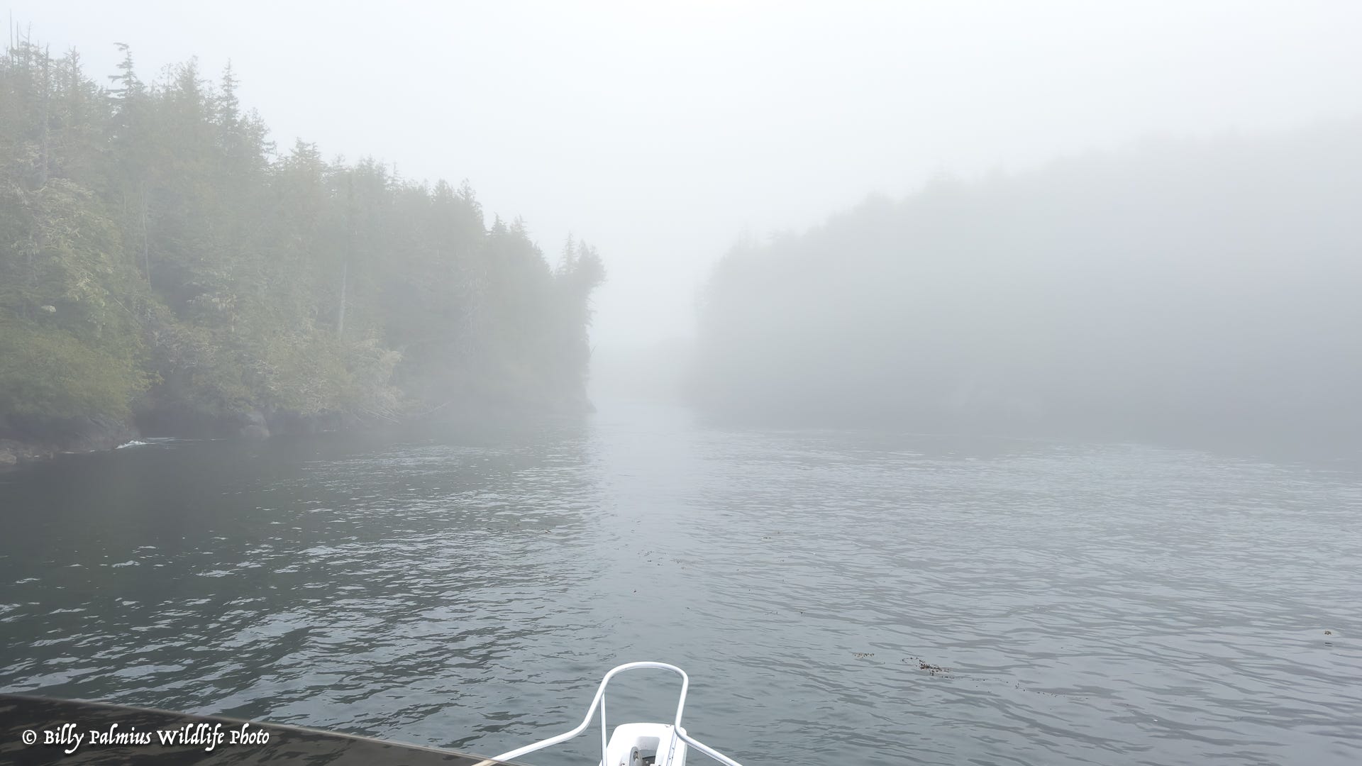 The Inside Passage North America