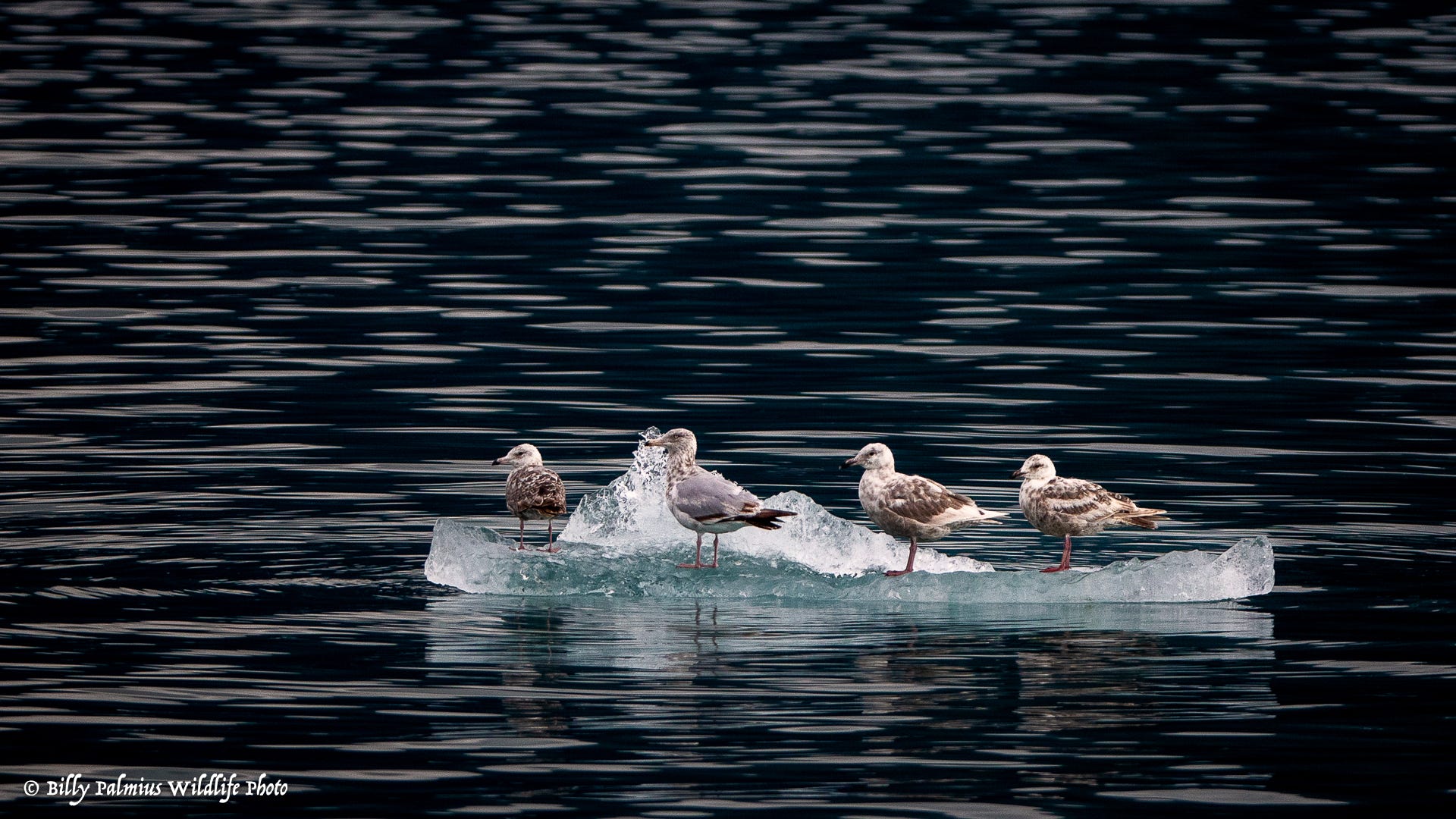 The Inside Passage North America
