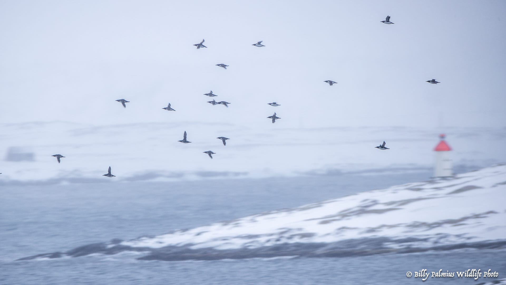 Norway Varanger
