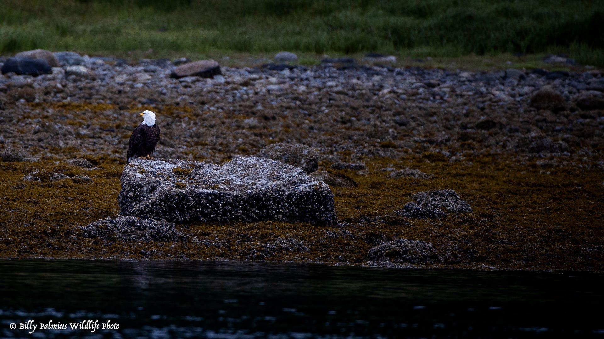 The Inside Passage North America