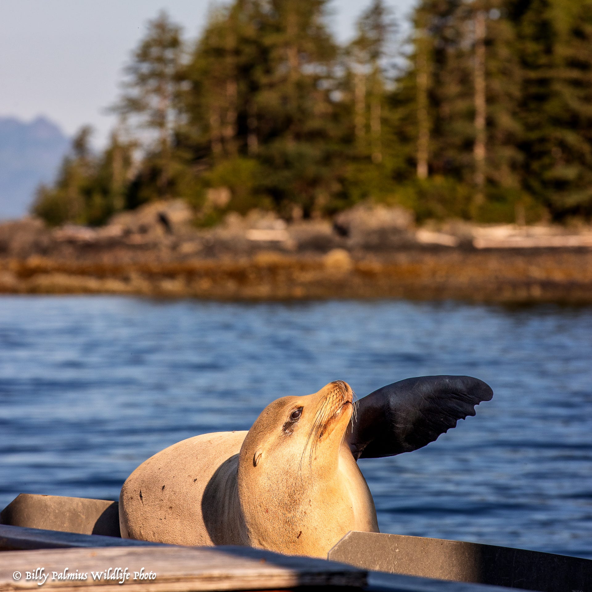 The Inside Passage North America