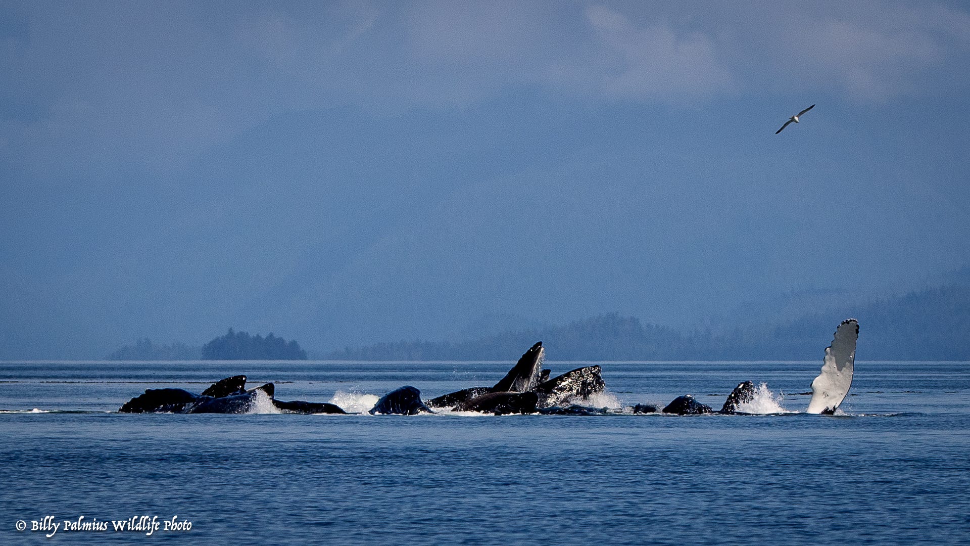 The Inside Passage North America