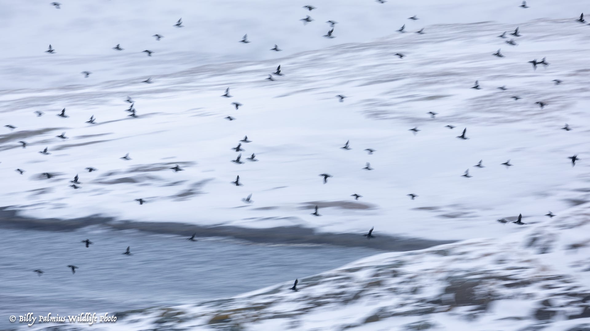 Norway Varanger
